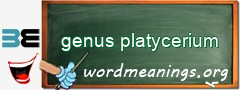WordMeaning blackboard for genus platycerium